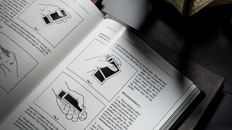 MINT #2 Edward Marlo eBook - CAMBIGG